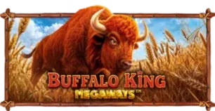 ภาพเกม Buffalo King Megaways ที่ py168 รวบรวมไว้